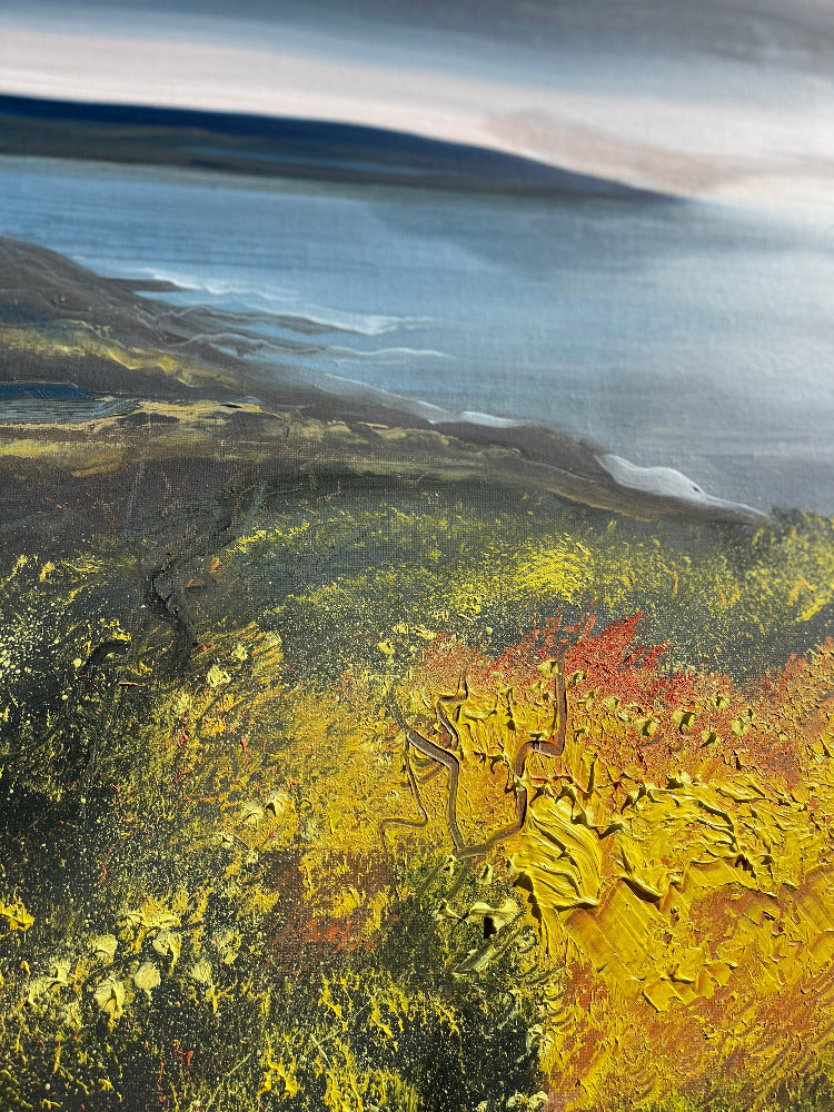 golden gorse jacs waggett close up of yellow