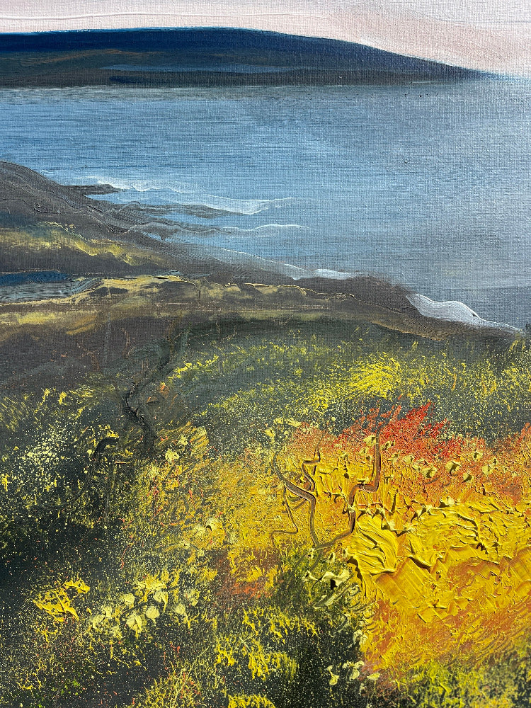 golden gorse by jacswaggett detail close up