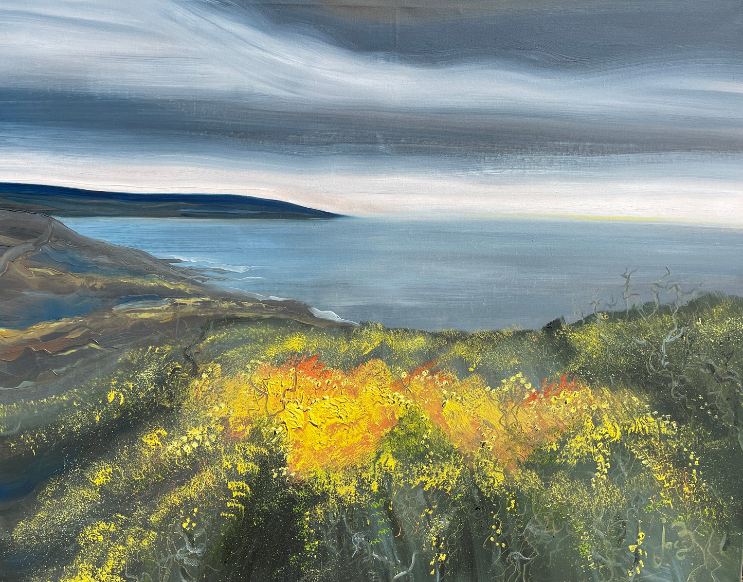 golden gorse by jacs waggett croyde landscape