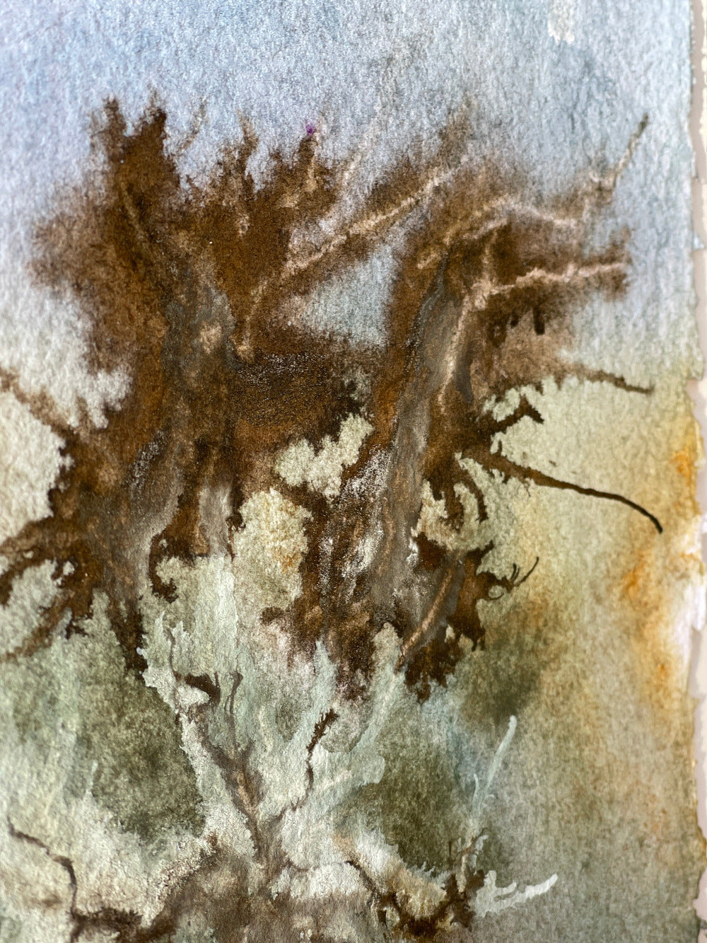 close up of wild blown trees artwork watercolour abstract